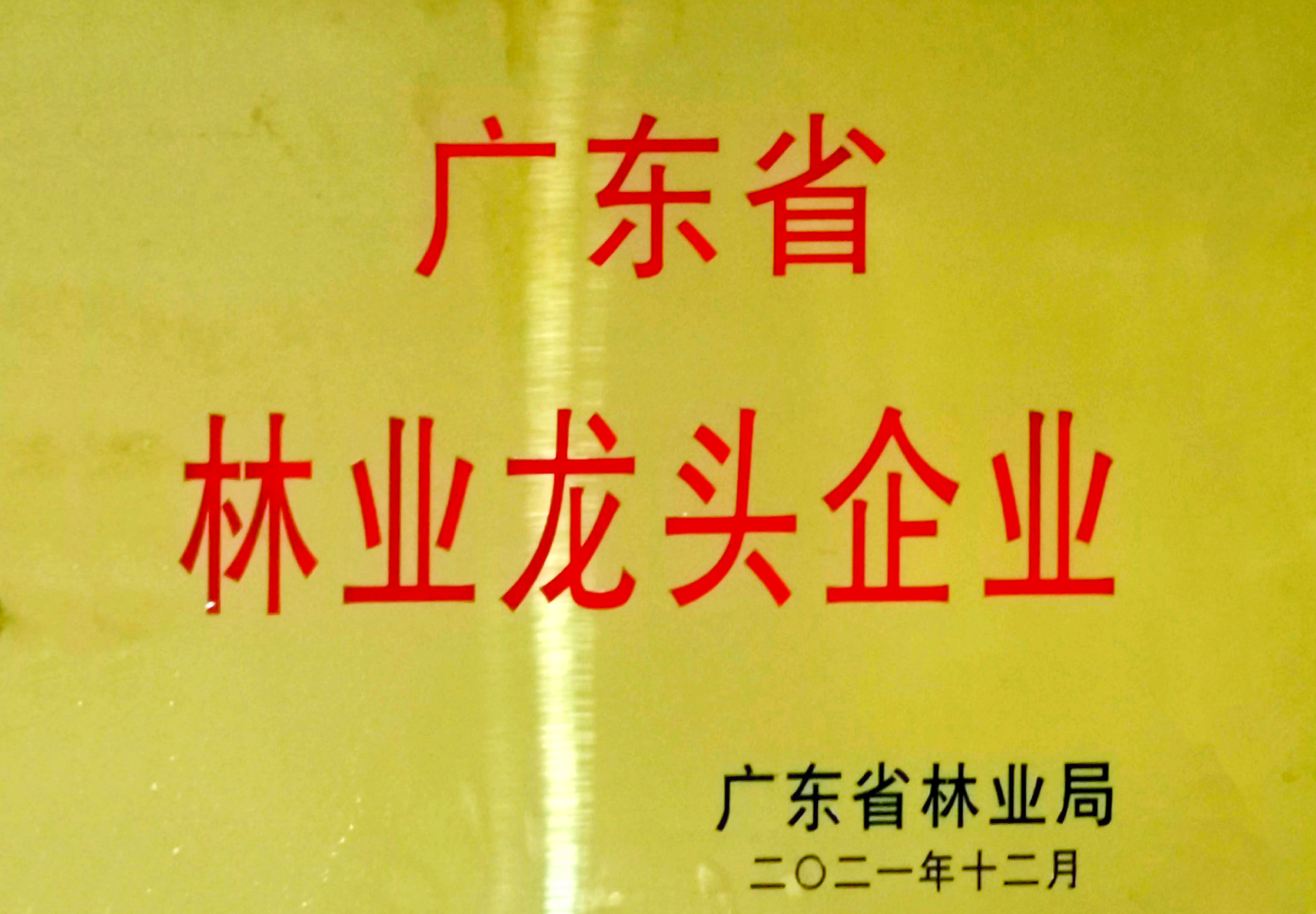 01 广东省林业龙头企业-20211213-1 拷贝