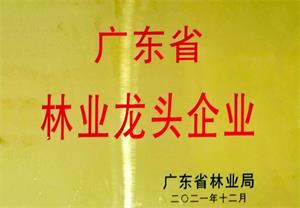01 广东省林业龙头企业-20211213-1 拷贝